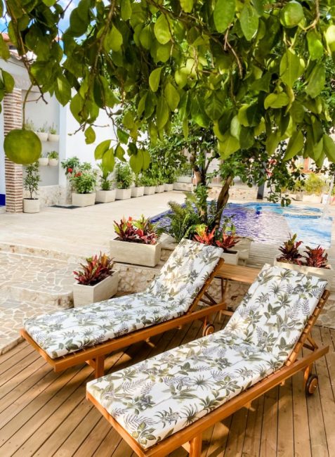 patio sillas de sol y limon